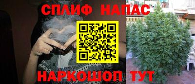 МДПВ Можга
