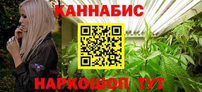 стафф Моздок
